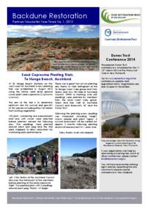 Backdune Restoration Partners Newsletter Year Three No. 1, 2013 New backdune restoration planting using plant protectors (Combi-guards) on the last planting day of the year at Maketu Spit, Bay of