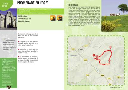 PROMENADE EN FORÊT  f TRÈS FACILE  f SITUATION : Le Bourg, entre Figeac et Gramat par D 840 à 3 km