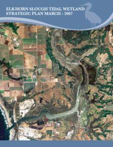 Elkhorn Slough Tidal Wetland Strategic Plan  Executive Summary Elkhorn Slough, an estuary located on the Central California Coast, provides a rich ecosystem for over 780 aquatic bird, marine invertebrate,