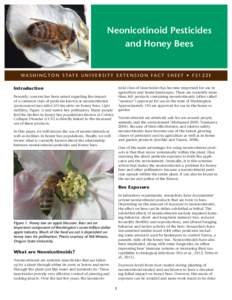 Neonicotinoid Pesticides and Honey Bees WA S H I N G T O N S TAT E U N I V E R S I T Y E X T E N S I O N FA C T S H E E T • F SE Introduction