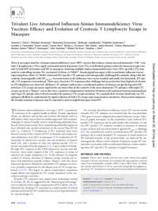 Trivalent Live Attenuated Influenza-Simian Immunodeficiency Virus Vaccines: Efficacy and Evolution of Cytotoxic T Lymphocyte Escape in Macaques Jeanette C. Reece,a Sheilajen Alcantara,a Shayarana Gooneratne,a Sinthujan J