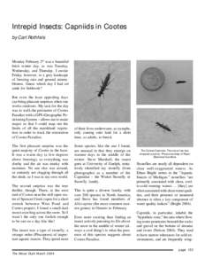 Entomology / Plecoptera / Insect ecology / Geography of Hamilton /  Ontario / Capniidae / Aquatic insects / Cootes Paradise / Insect wing / Cootes / Phyla / Protostome / Zoology