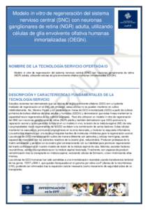 Modelo in vitro de regeneración del sistema nervioso central (SNC) con neuronas ganglionares de retina (NGR) adulta, utilizando células de glía envolvente olfativa humanas inmortalizadas (OEGhi).