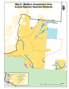 Map 6 - Madison Assessment Area  Axolotl Riparian Reaches/Wetlands 690