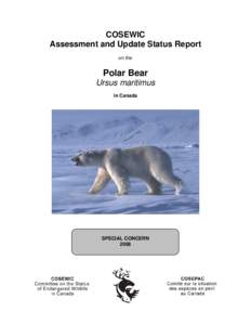 Conservation / Polar bear / Species at Risk Act / Local extinction / Committee on the Status of Endangered Wildlife in Canada / Least Concern / Ursus / Arctic / Grizzly bear / Bears / Biology / Zoology