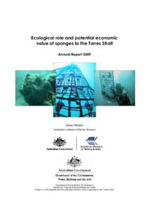 Yorke Island / Sponge / Coral reef / Torres Strait Islands / Algae / Sea sponge aquaculture / Physical geography / Fisheries / Geography of Oceania