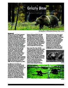U.S. Fish Fish&&Wildlife WildlifeService Service  Grizzly Bear