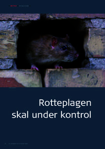 ❙ ROTTER ❙ AF ULLA LUND ❙  FOTO: POLFOTO Rotteplagen skal under kontrol