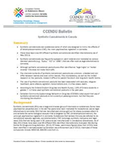 Synthetic Cannabinoids in Canada: CCENDU Bulletin