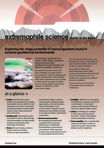 extremophile science frontier to the future Exploring the mega-potential of microorganisms found in extreme geothermal environments Hot springs, bubbling mud pools, crater lakes, undersea volcanoes and other