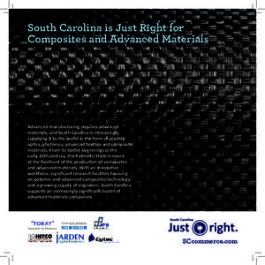South Carolina is Just Right for Composites and Advanced Materials Advanced manufacturing requires advanced materials, and South Carolina is increasingly supplying it to the world in the form of plastics,
