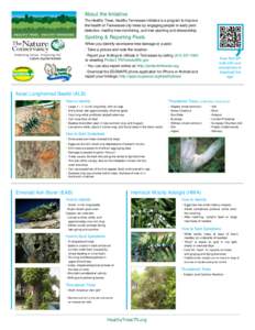 Fungal diseases / Thousand cankers disease / Weevils / Juglans cinerea / Emerald ash borer / Sudden oak death / Gypsy moth / Bark / Juglans nigra / Flora of the United States / Medicinal plants / Tree diseases