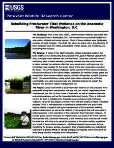 Patuxent Wildlife Research Center Rebuilding Freshwater Tidal Wetlands on the Anacostia River in Washington, D.C. The Challenge: Prior to the early 1900’s, tidal freshwater wetlands associated with the Anacostia River 