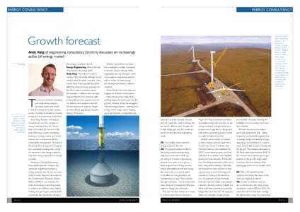 energy consultancy  energy consultancy Growth forecast