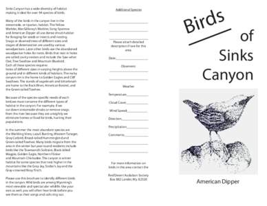 Sinks Canyon has a wide diversity of habitat making it ideal for over 94 species of birds. Many of the birds in the canyon live in the streamside, or riparian, habitat. The Yellow Warbler, MacGillivray’s Warbler, Song 