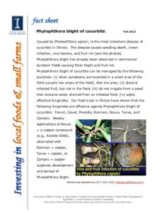 Phytophthora blight of cucurbits:  Fall 2013 Caused by Phytophthora capsici, is the most important disease of cucurbits in Illinois. The disease causes seedling death, crown