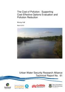 The cost of pollution: supporting cost-effective options evaluation and pollution reduction
