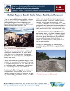 American Recovery and Reinvestment Act (ARRA)  Recreation Site Improvements Category: Roads, Construction, Habitat / Hazardous Fuels  BLM