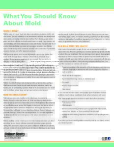 What You Should Know About Mold WHAT IS MOLD? Mold is types of fungus found just about everywhere–on plants, mulch, and even foods. They are beneficial to the environment because they break down dead carbon-containing 