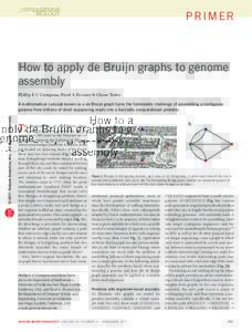 How to apply de Bruijn graphs to genome assembly