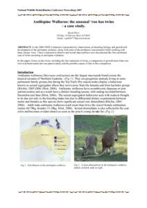 National Wildlife Rehabilitation Conference Proceedings[removed]Antilopine Wallaroo: the unusual ‘roo has twins - a case study. Sarah Hirst PO Box 24 Darwin River NT 0841