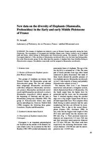 New data on the diversity of Elephants (Mammalia, Proboscidea) in the Early and early Middle Pleistocene of France N. Aouadi Laboratory of Prehistory, Aix en Provence, France - [removed]