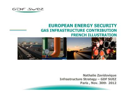 EUROPEAN ENERGY SECURITY  GAS INFRASTRUCTURE CONTRIBUTION FRENCH ILLUSTRATION  Nathalie Zavidovique