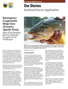 U.S. Fish & Wildlife Service, Southwest Region Science Applications, Our Story: Saving Apache Trout