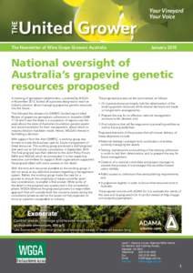 Oenology / Vine training / Vines / Vineyard / Australian Wine Research Institute / Grape / Australian wine / Canopy / Acids in wine / Wine / Viticulture / Biotechnology