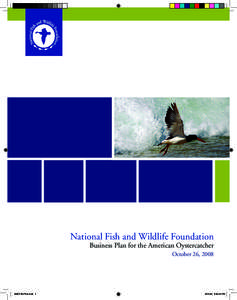 National Fish and Wildlife Foundation  Business Plan for the American Oystercatcher October 26, 2008  AMOY Biz Plan.indd 1