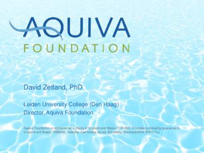 David Zetland, PhD Leiden University College (Den Haag) Director, Aquiva Foundation Aquiva Foundation is registered as a charity in England and WalesA company limited by guarantee in England and Wales
