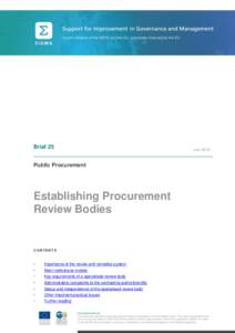 Brief 25  July 2013 Public Procurement