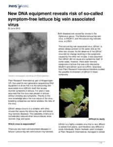 New DNA equipment reveals risk of so-called symptom-free lettuce big vein associated virus