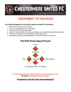 TREATMENT OF INJURIES The overall management of most sports injuries is based on 6 principles: [removed].