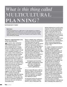 What is this thing called  MULTICULTURAL PLANNING? by Mohammad A. Qadeer Summary
