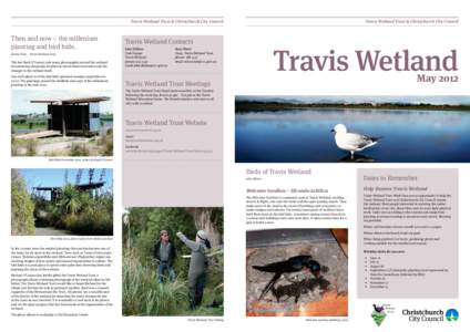 Travis Wetlands Newsletter - WEB.pdf