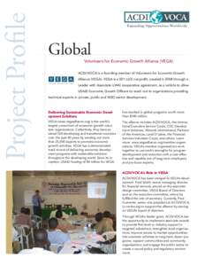 Project Profile  Global Volunteers for Economic Growth Alliance (VEGA)