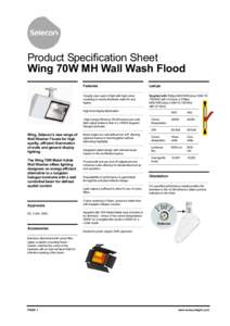 Wing 70W MH Wall Wash Flood