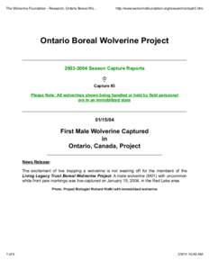 The Wolverine Foundation - Research, Ontario Boreal Wo...  http://www.wolverinefoundation.org/research/ontcptr3.htm Ontario Boreal Wolverine Project