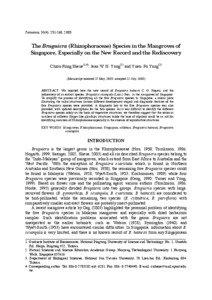 Physical geography / Bruguiera / Rhizophora / Kandelia obovata / Rhizophoraceae / Mangroves / Biogeography