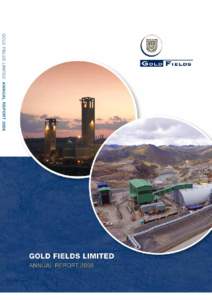 GOLD FIELDS LIMITED ANNUAL REPORT 2008  GOLD FIELDS VISION To be a leading, globally diversified, precious metals producer through the responsible, sustainable and innovative development of quality assets.