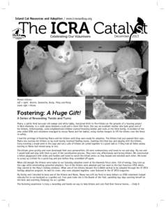 Island Cat Resources and Adoption / www.icraeastbay.org  The ICRA Catal st Celebrating Our Volunteers  December 2013