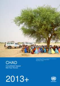 CHAD CONSOLIDATED APPEAL MID-YEAR REVIEW 2013+  A tree provides shelter for a meeting with a community of returnees in Borota, Ouaddai Region. Pierre Peron / OCHA