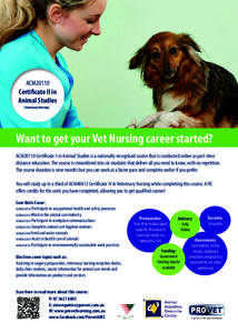 Veterinary medicine / Health / Medicine / Veterinary physician