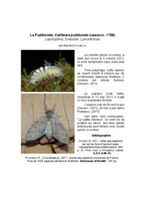 La Pudibonde, Calliteara pudibunda (LINNAEUS, 1758) Lepidoptera, Erebidae, Lymantriinae par Bernard SCHMELTZ La chenille (photo ci-contre), a tissé son cocon le 5 octobre 2012,