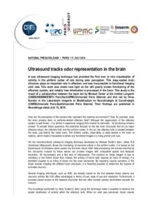 NATIONAL PRESS RELEASE I PARIS I 11 JULY[removed]Ultrasound tracks odor representation in the brain A new ultrasound imaging technique has provided the first ever in vivo visualization of activity in the piriform cortex of