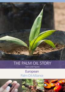The Palm Oil Story  THE Palm Oil story Facts and Figures  European