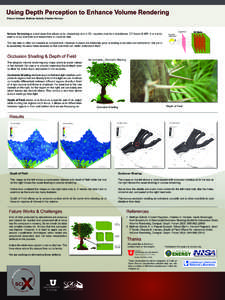 Science / Visualization / 3D imaging / Scientific modeling / Shading / Volume rendering / Rendering / VisIt / Depth perception / 3D computer graphics / Computer graphics / Optics