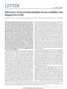 LETTER  doi:nature09984 Discovery of novel intermediate forms redefines the fungal tree of life