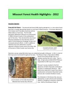 Missouri Forest Health Highlights[removed]Invasive Species Emerald Ash Borer – The emerald ash borer (EAB), Agrilus planipennis, is a non-native forest pest that is causing devastating impacts on ash trees in North Ame